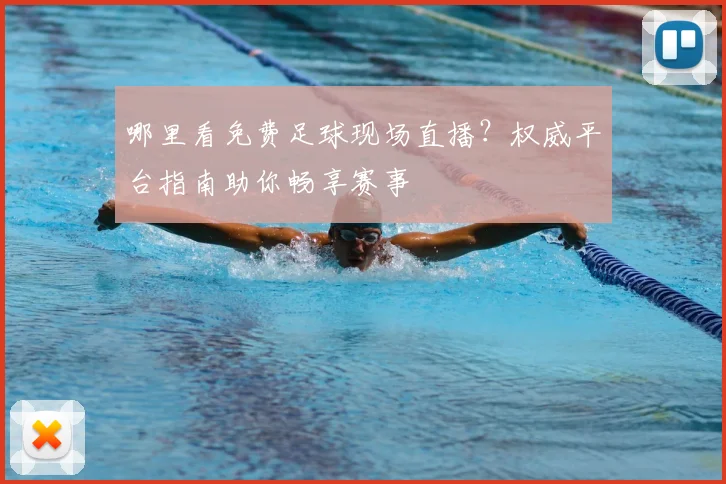哪里看免费足球现场直播？权威平台指南助你畅享赛事