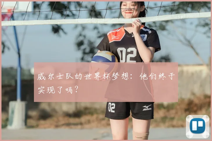 威尔士队的世界杯梦想：他们终于实现了吗？
