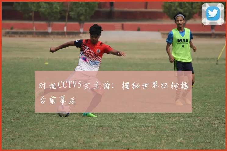 对话CCTV5女主持：揭秘世界杯转播台前幕后