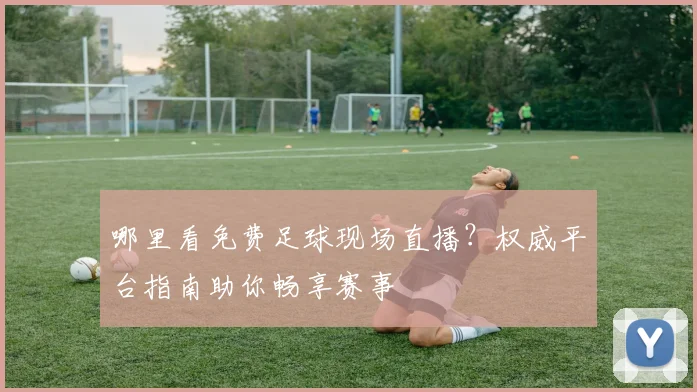 哪里看免费足球现场直播？权威平台指南助你畅享赛事