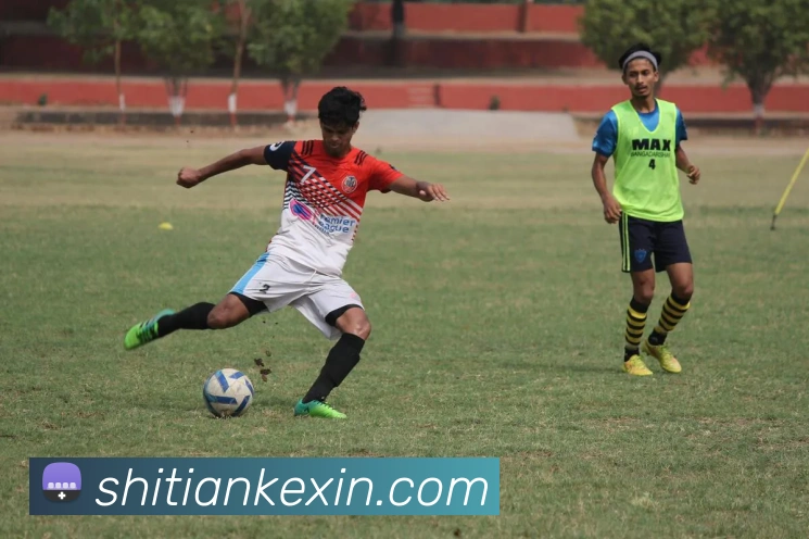 多媒体互动体验