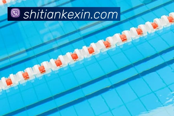 必一运动b官网APP 高清赛事图